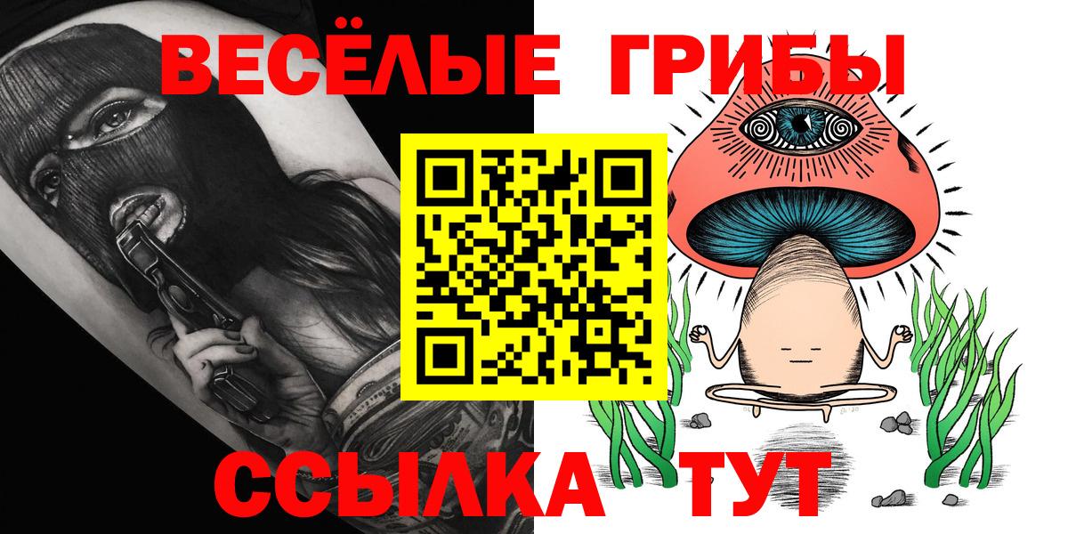 Галлюциногенные грибы Psilocybine cubensis Иваново