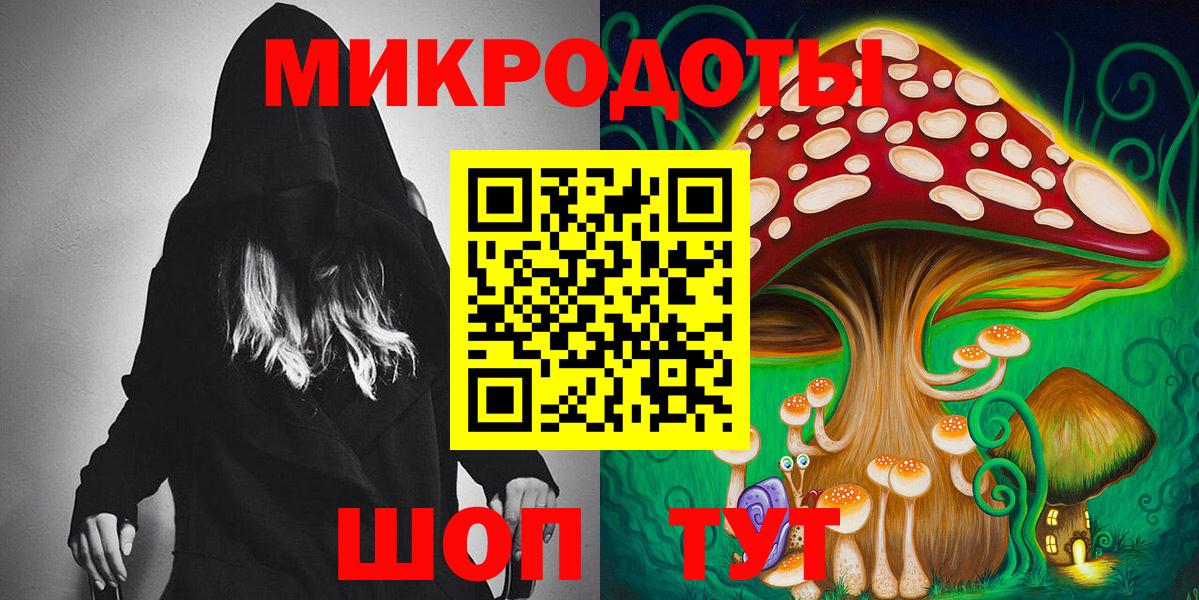 Галлюциногенные грибы Psilocybe Иваново