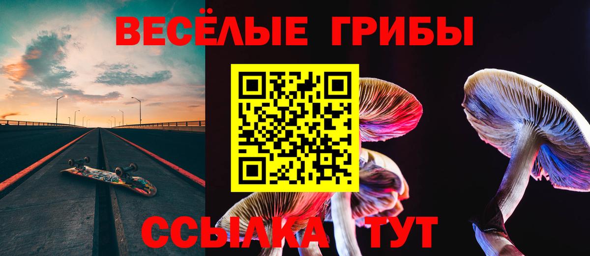 Галлюциногенные грибы мухоморы  Псилоцибиновые грибы Psilocybine cubensis  Иваново 