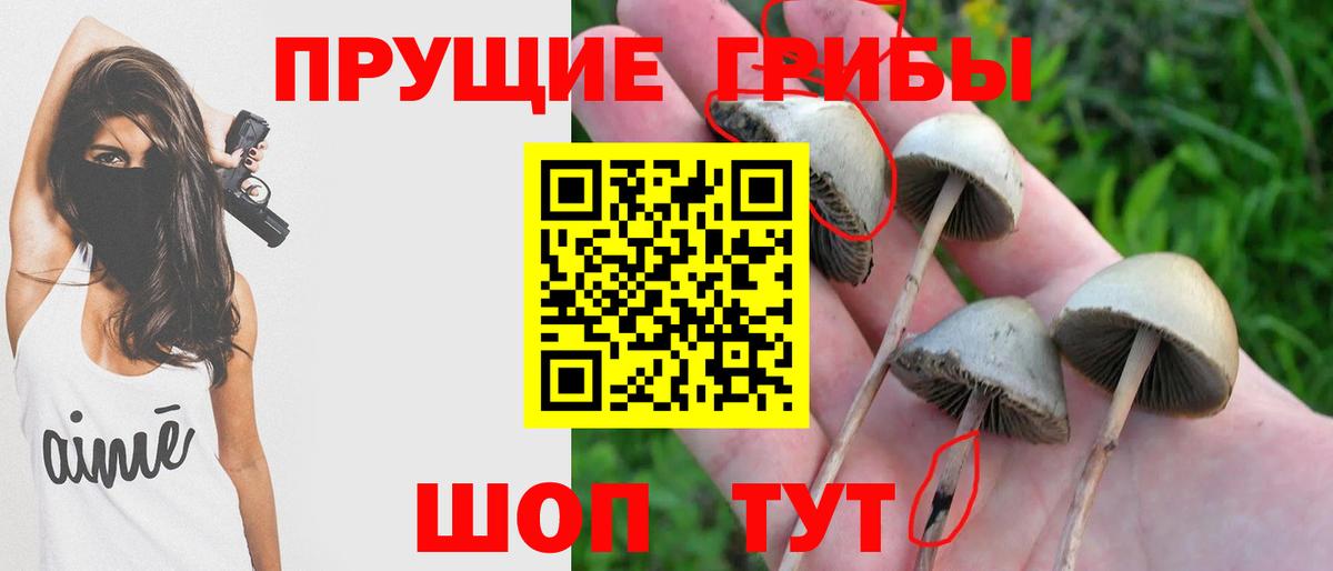 Псилоцибиновые грибы Magic Shrooms  как найти закладки  Иваново  Вход с VPN 